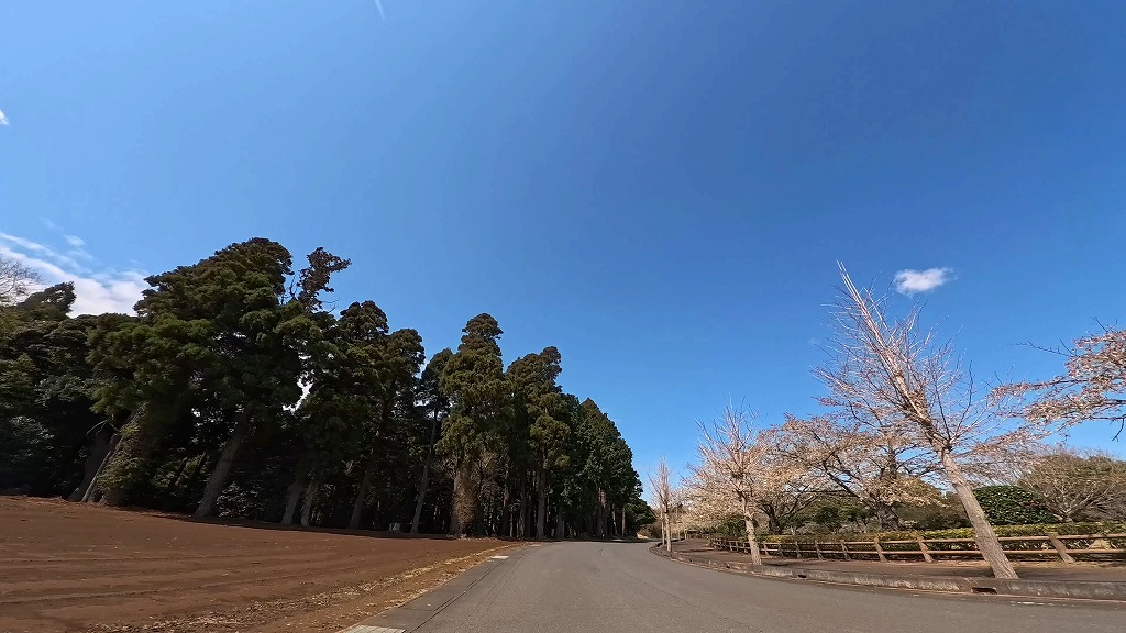 夏海運動公園 大洗
